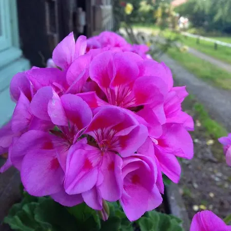 La Baronnie B&B Vieux-Pont