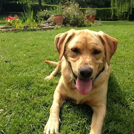 B&B La Baronnie Vieux-Pont