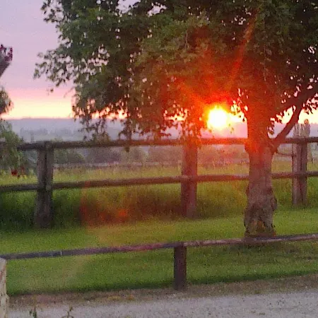 巴洛尼住宿加早餐旅馆