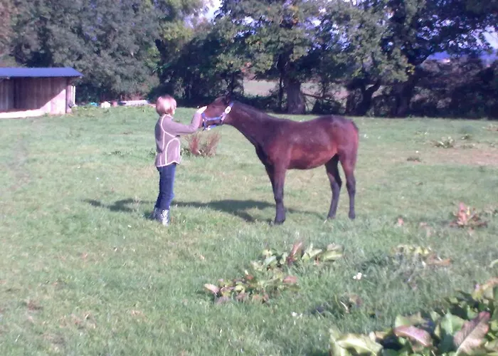 巴洛尼住宿加早餐旅馆 Vieux-Pont