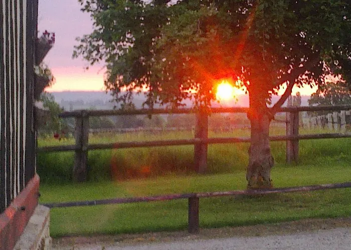 巴洛尼住宿加早餐旅馆