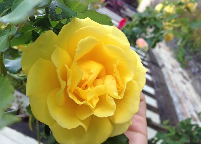 La Baronnie Bed & Breakfast Vieux-Pont