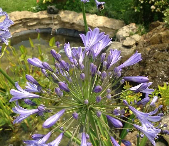 La Baronnie Bed & Breakfast